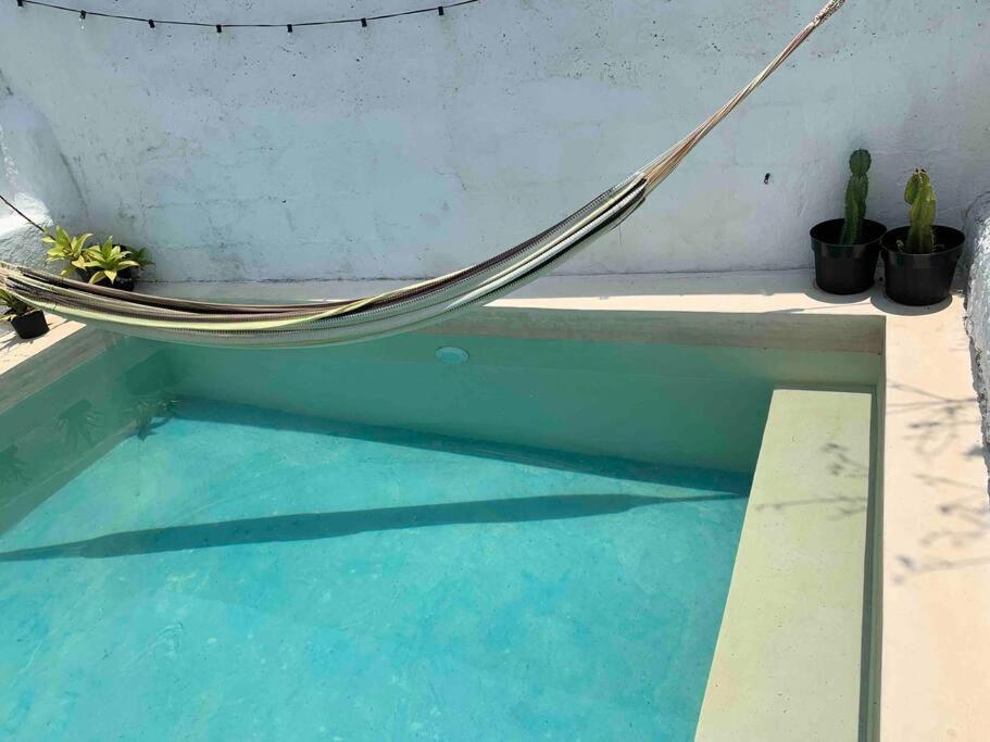 Casita Azul Colonial En El Centro De Merida. ภายนอก รูปภาพ