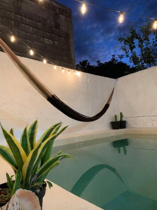 Casita Azul Colonial En El Centro De Merida. ภายนอก รูปภาพ