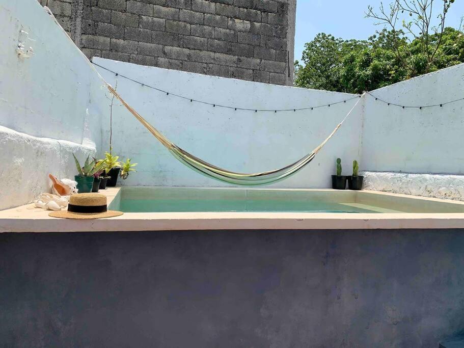 Casita Azul Colonial En El Centro De Merida. ภายนอก รูปภาพ
