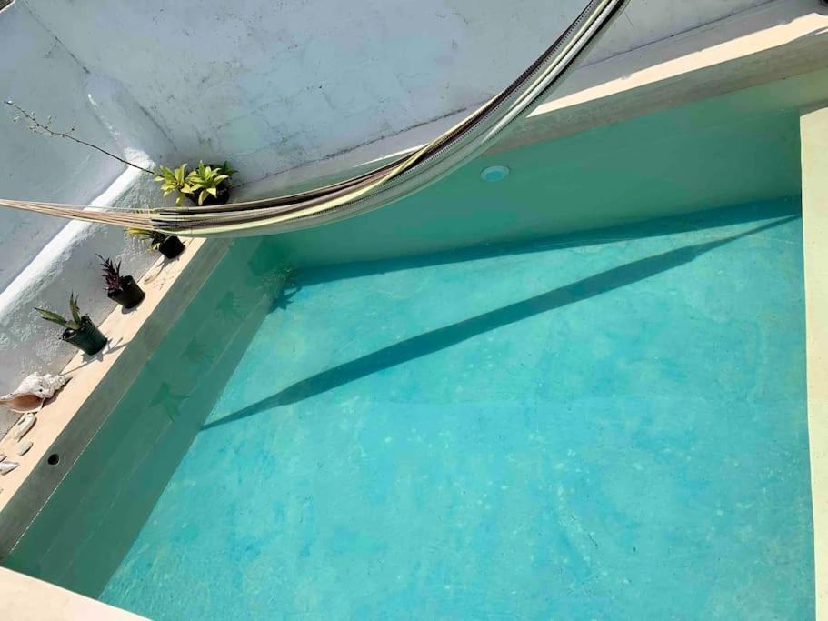 Casita Azul Colonial En El Centro De Merida. ภายนอก รูปภาพ
